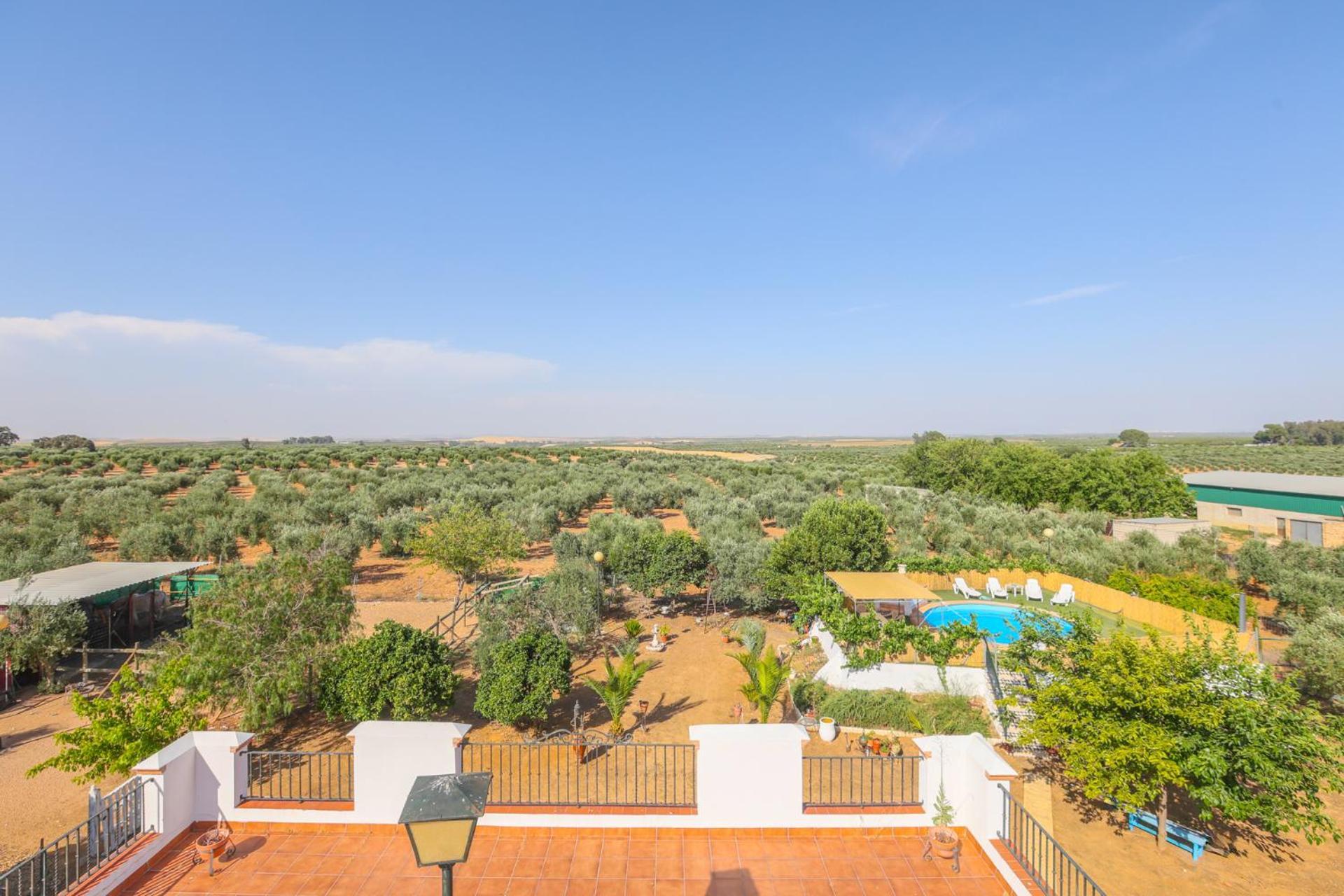 Casa Rural Los Miradores مارشينا المظهر الخارجي الصورة