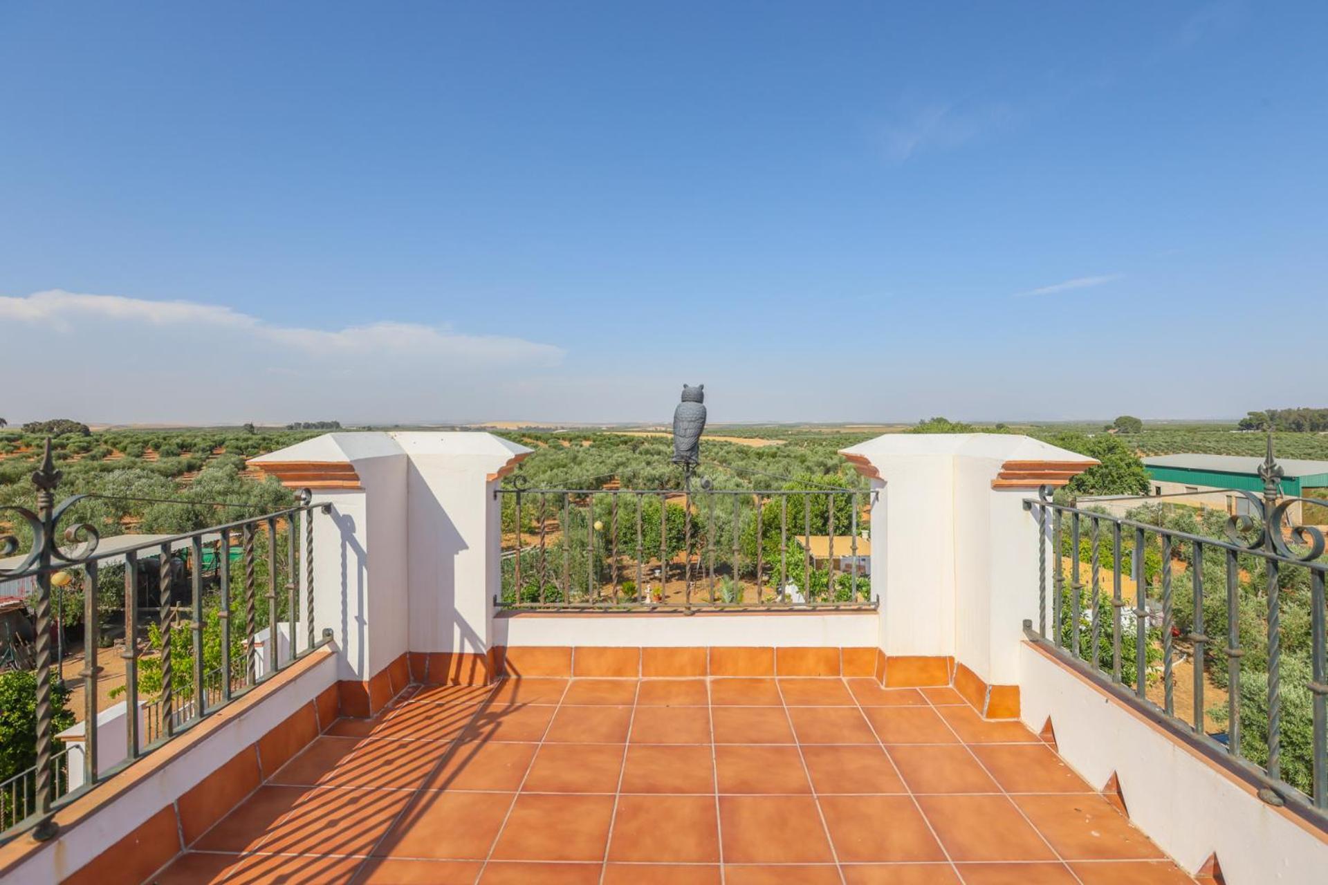 Casa Rural Los Miradores مارشينا المظهر الخارجي الصورة