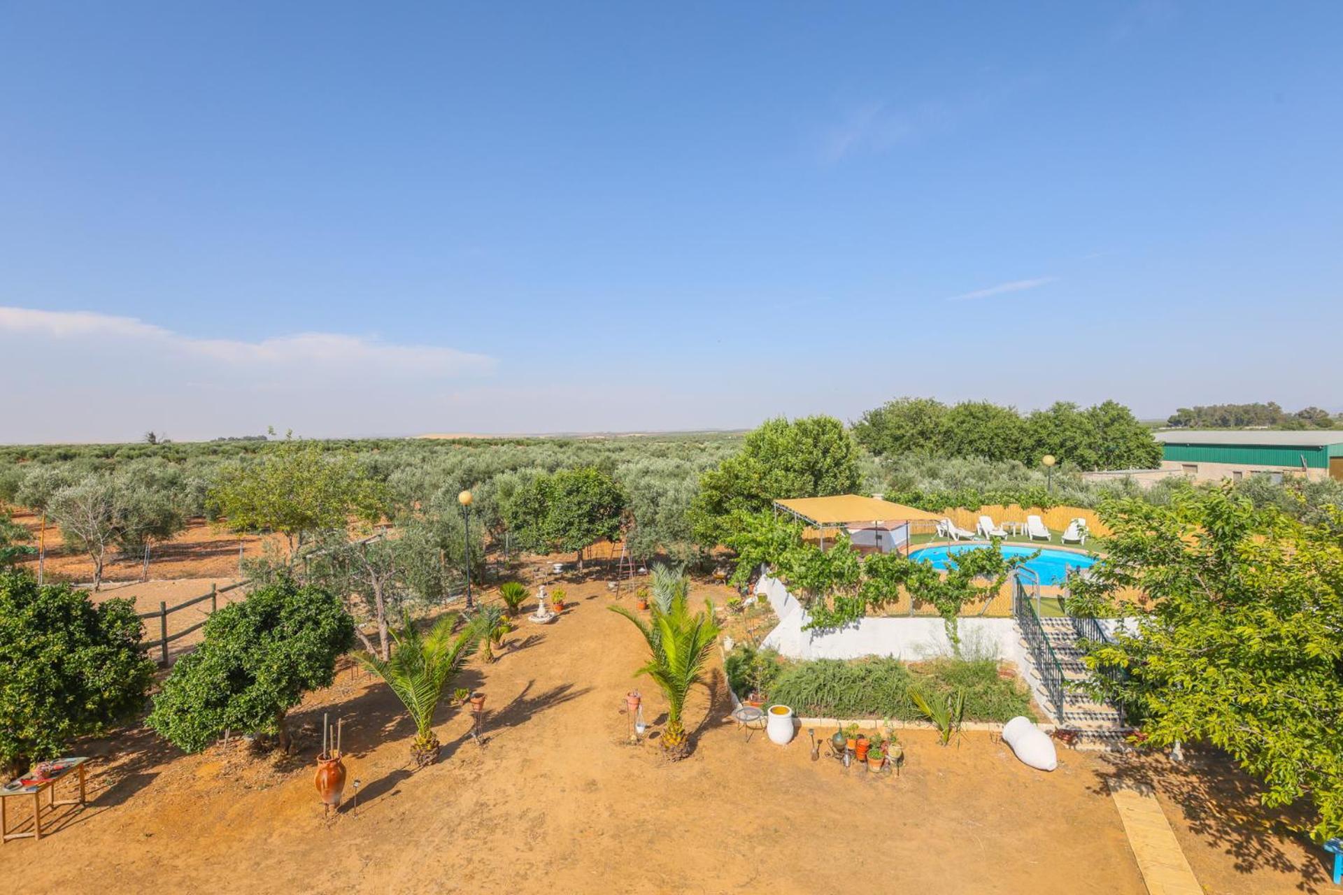 Casa Rural Los Miradores مارشينا المظهر الخارجي الصورة