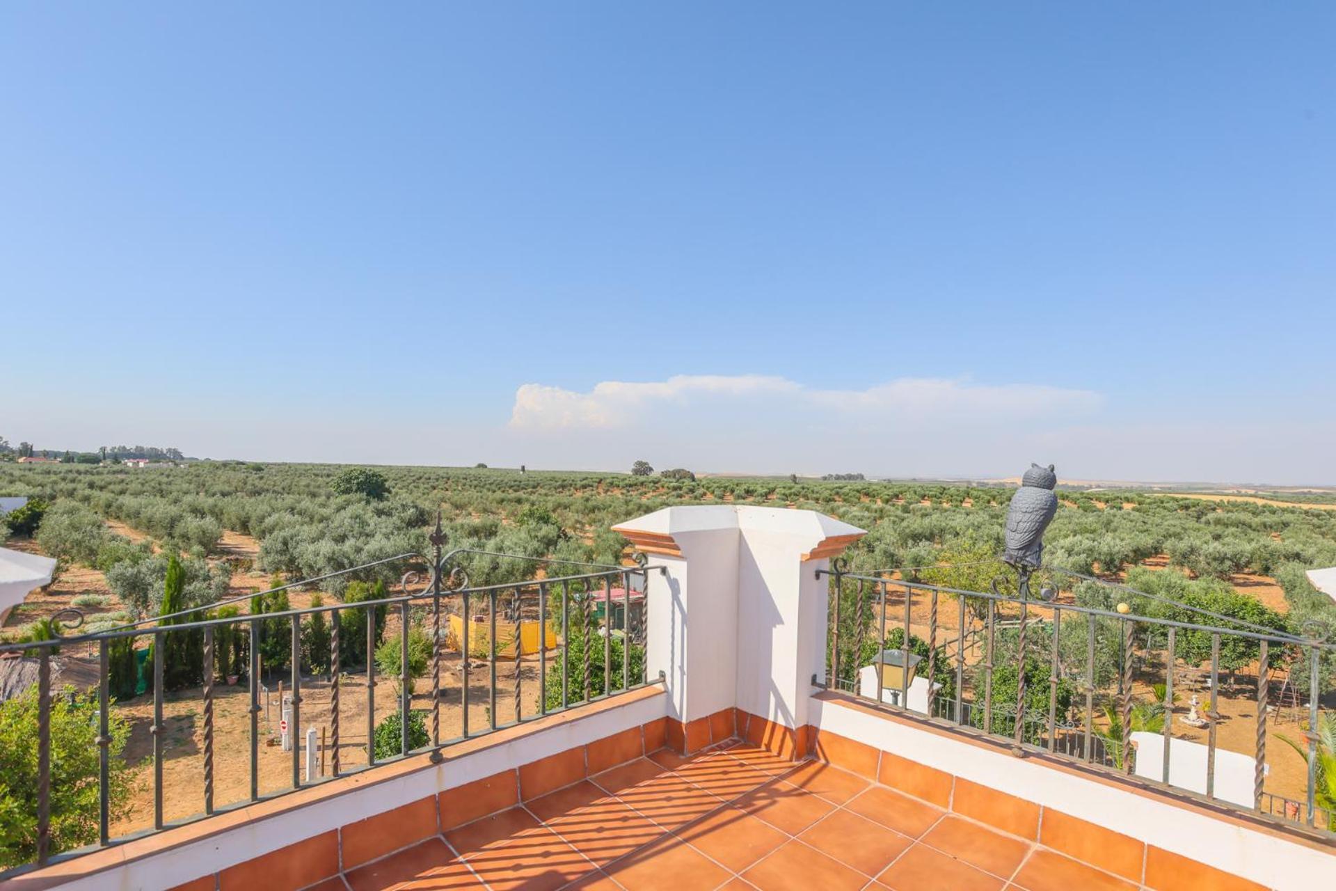 Casa Rural Los Miradores مارشينا المظهر الخارجي الصورة