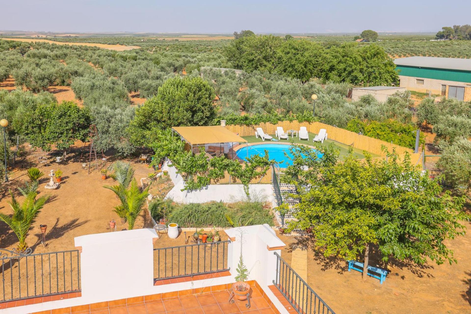 Casa Rural Los Miradores مارشينا المظهر الخارجي الصورة